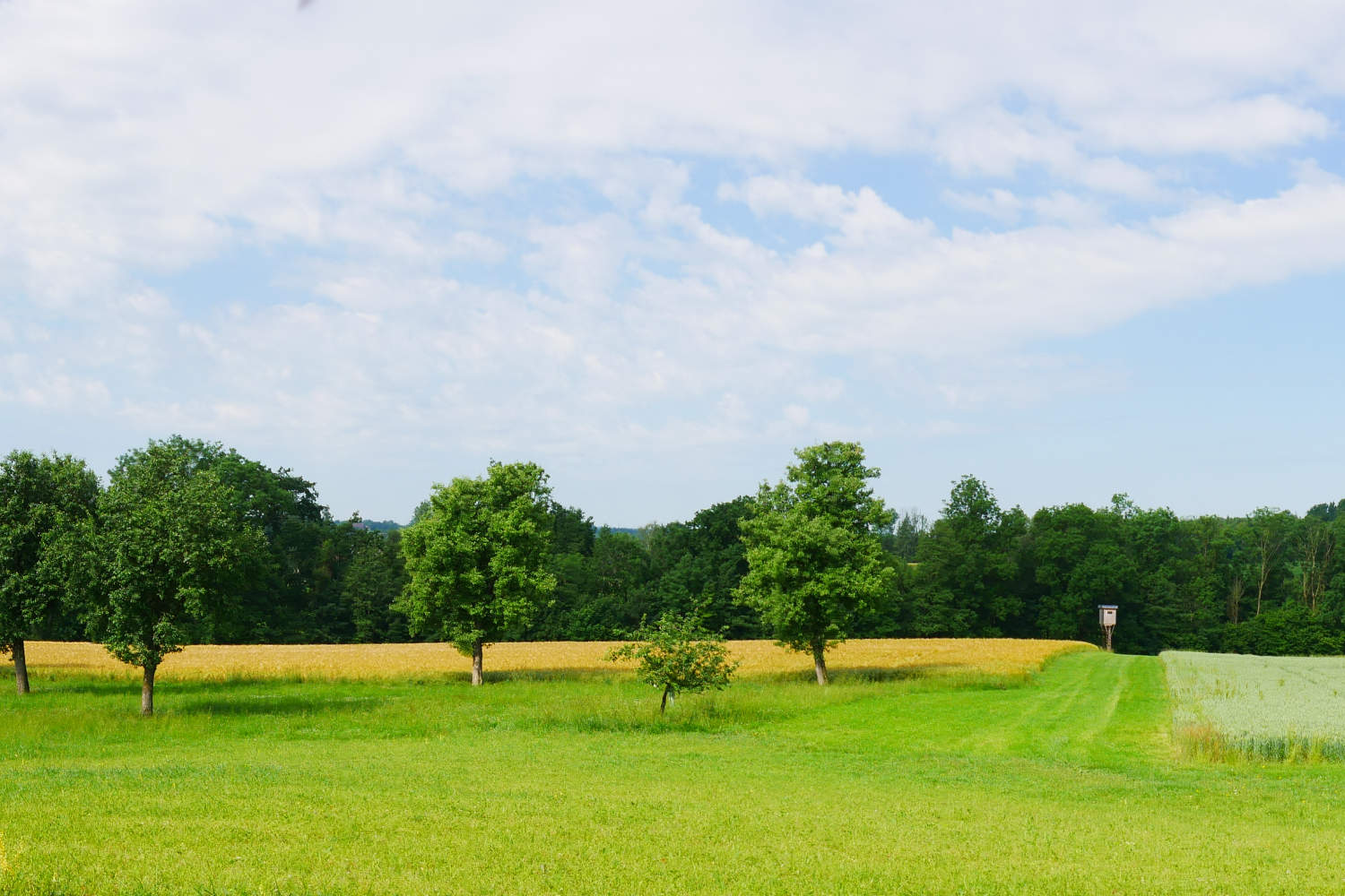 Die Landschaft um den Greilbauer Bauernhof