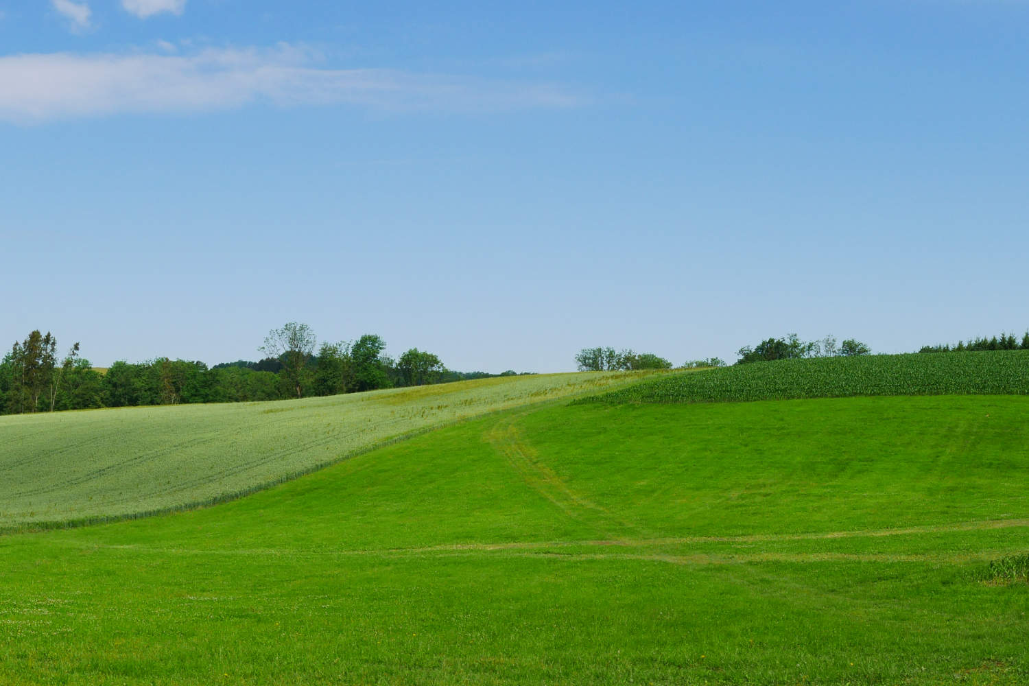 Die Landschaft um den Greilbauer Bauernhof